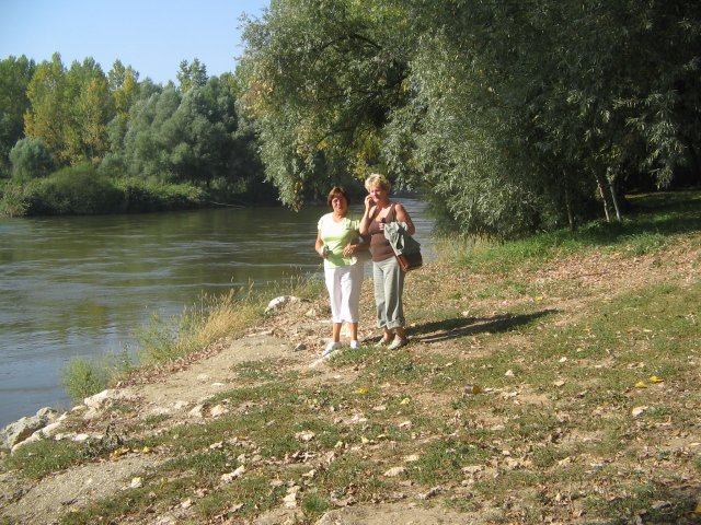 finnek 2011 003